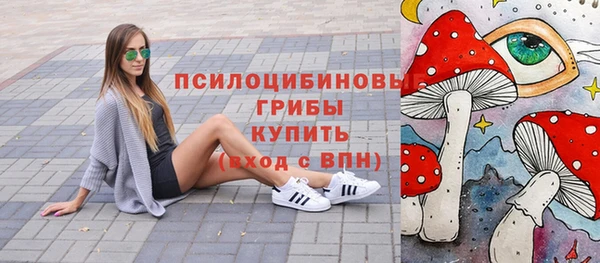 spice Нязепетровск