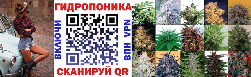 Бошки марихуана конопля  Купить где  Хабаровск 